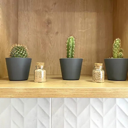 Aranda - La Cepa I - Ii * Aranda de Duero